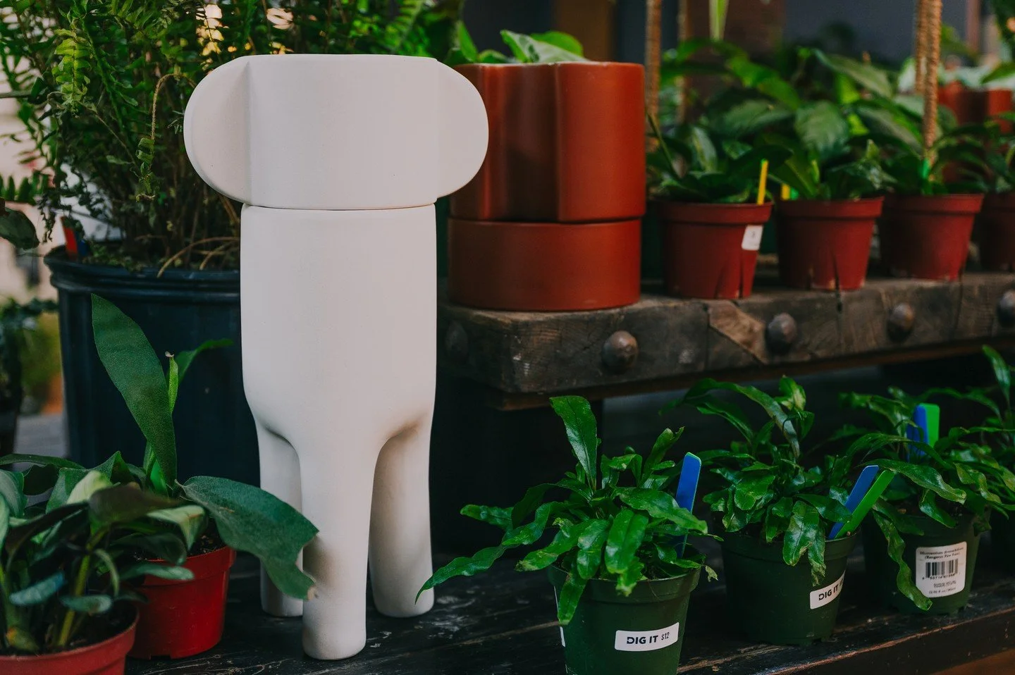 New Pottery Drop!

We got an exciting variety of planters in different shapes, sizes, and colors available. Along with a fresh order of indoor plants, its the perfect time to explore, and find the perfect pairing!

 #digphx #downtownphoenix #phxsmall