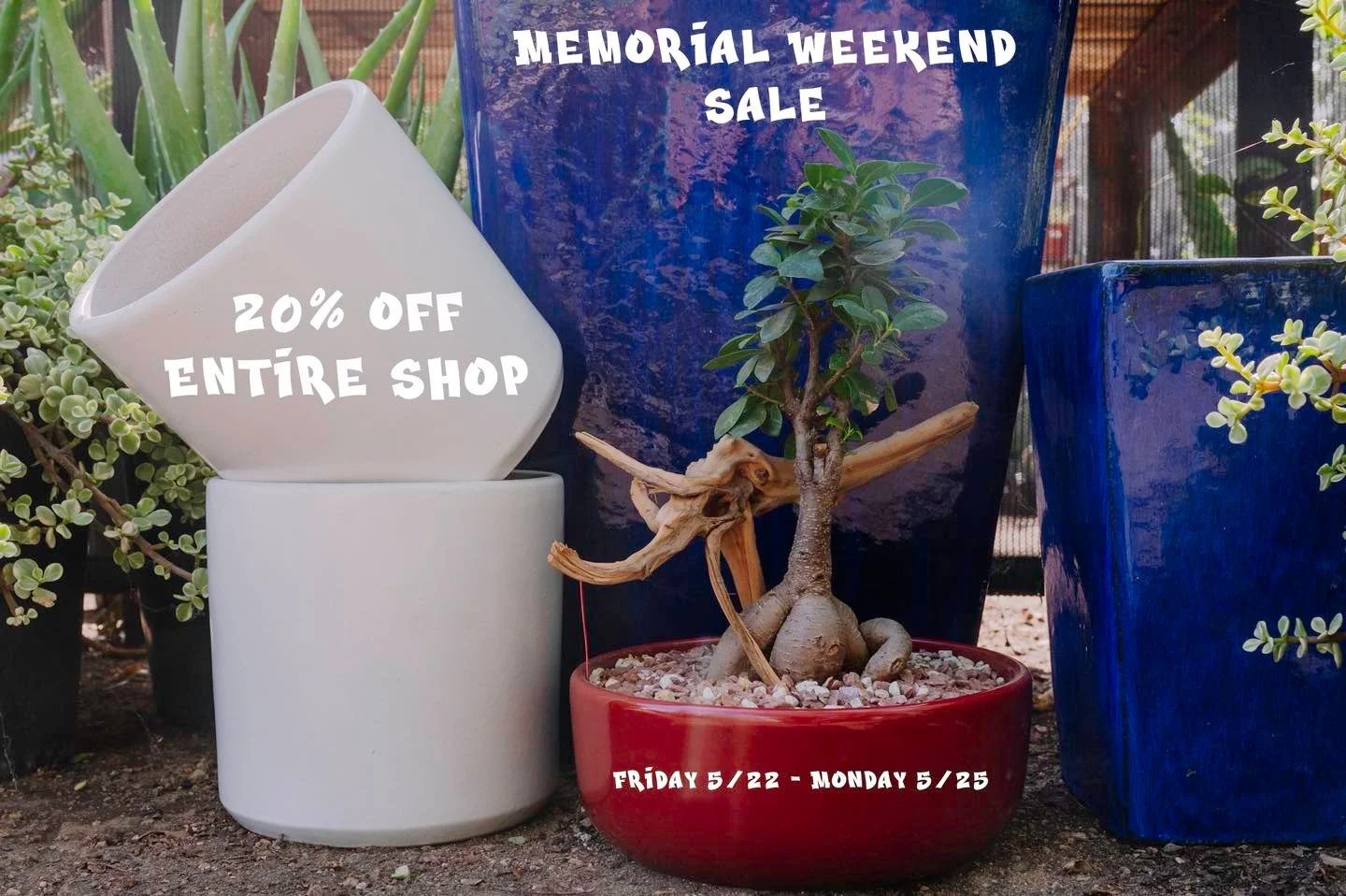 Who doesn&rsquo;t love a long weekend? 

We are running 20% off the entire shop Friday 5/22- Monday 5/25! We have a fresh selection of plants both inside and outside, along with a variety of pottery and planters.

Come on by and explore our selection