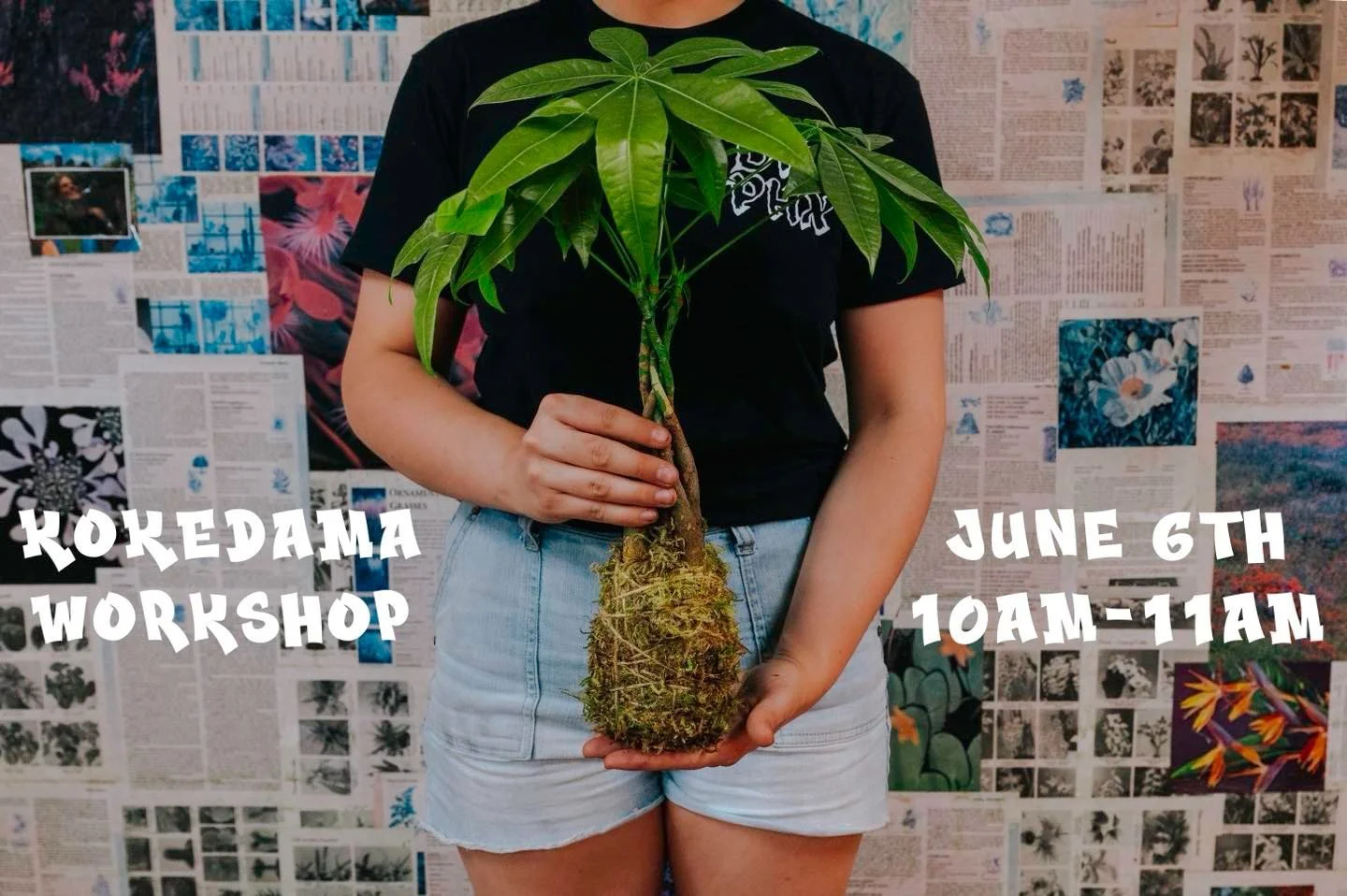 Back by popular demand! 🌱

Come join us at the shop Saturday June 6th for our Kokedama Workshop. Taught by our GM and horticulturalist @soil.lyfe Alex will guide you step by step on how to create your very own Kokedama, and give plant care tips, as 