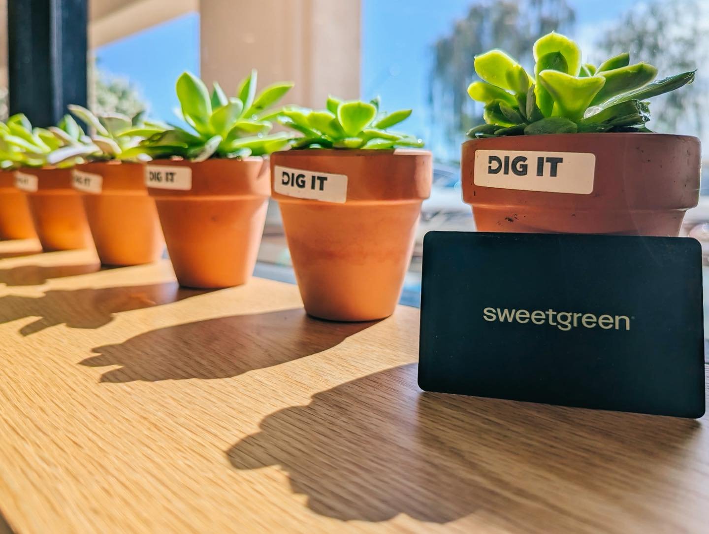Thank you sweetgreen PV for choosing a local family-owned business to help spoil your first customers during your opening today! We&rsquo;re so grateful for the opportunity and wish you so much success!

#digitdoes #plantcommunity #succulents #localf
