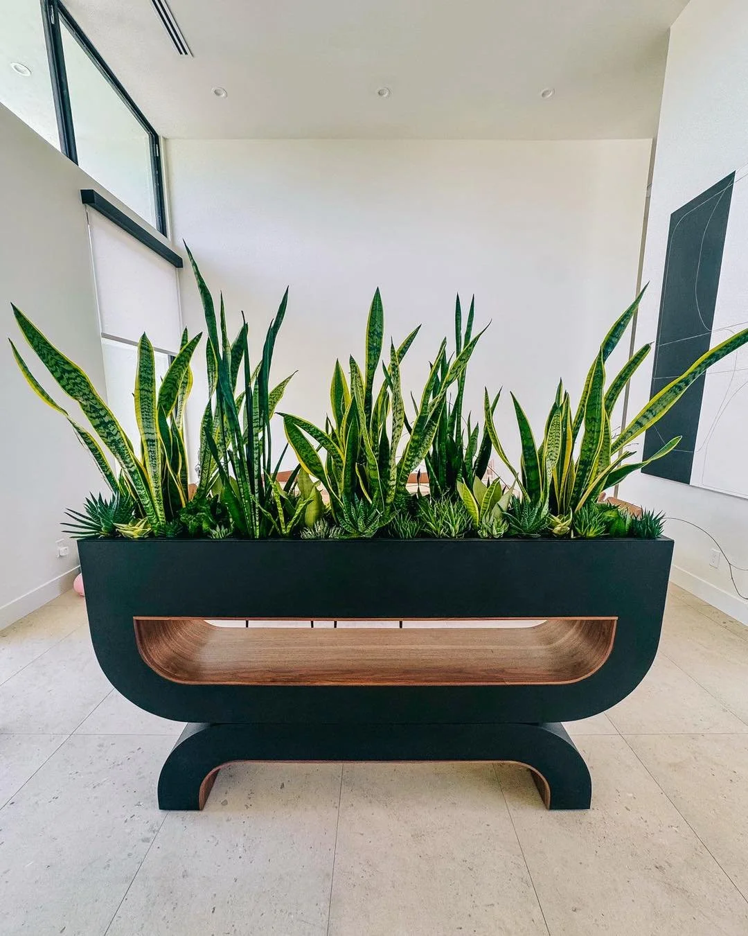🌿 Our latest indoor installation for a client! 🌿

For this project, we paired a variety of Sansevieria and Haworthia to create depth, texture, and visual interest while keeping the overall design low-maintenance and easy to care for. The stunning p