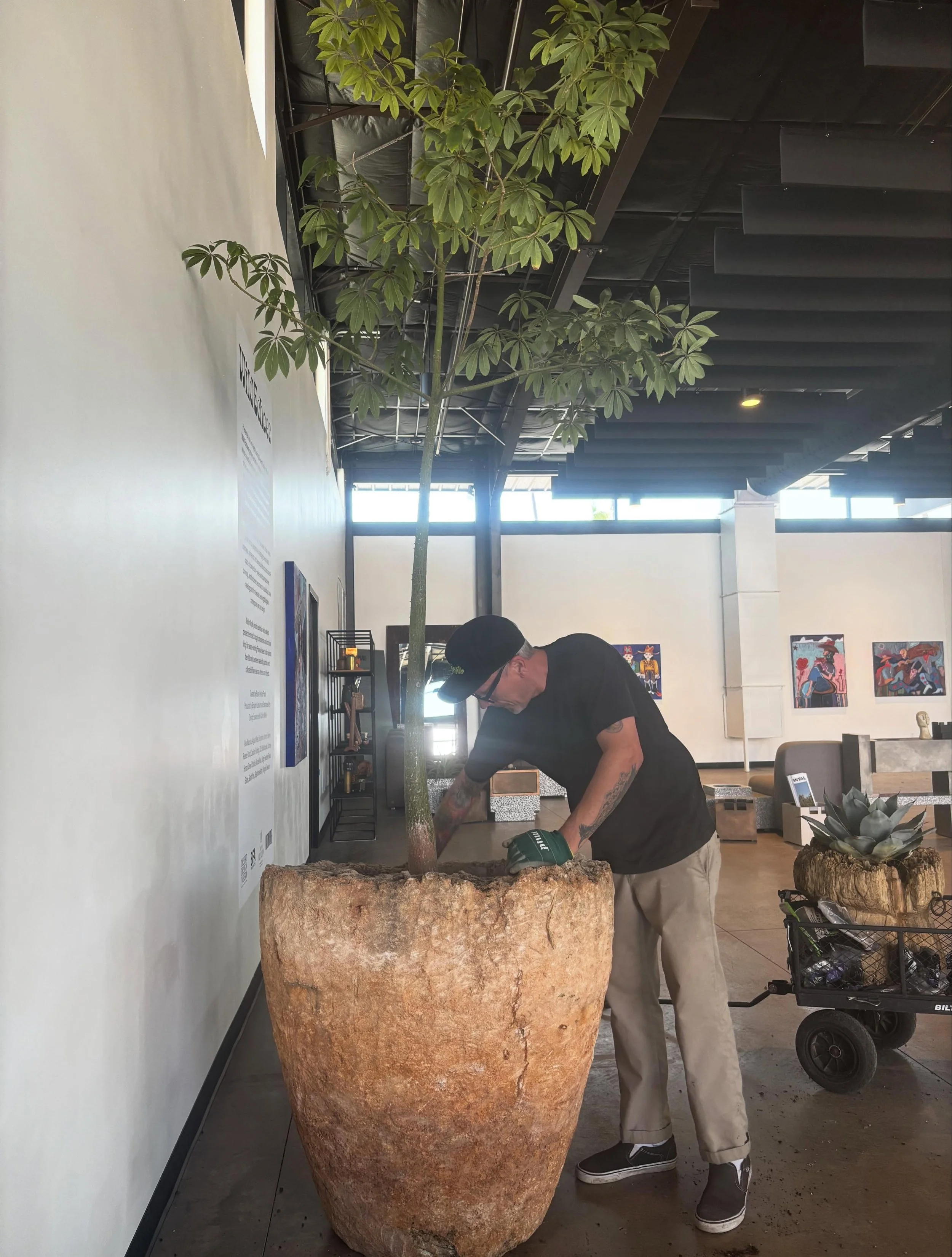 🎉🌵 It&rsquo;s Ryan&rsquo;s Birthday! 🌵🎉

If you know Ryan, you know he&rsquo;d much rather be talking about plants than himself. 

But today we&rsquo;re celebrating the man whose vision, creativity, and passion planted the seeds for everything Di