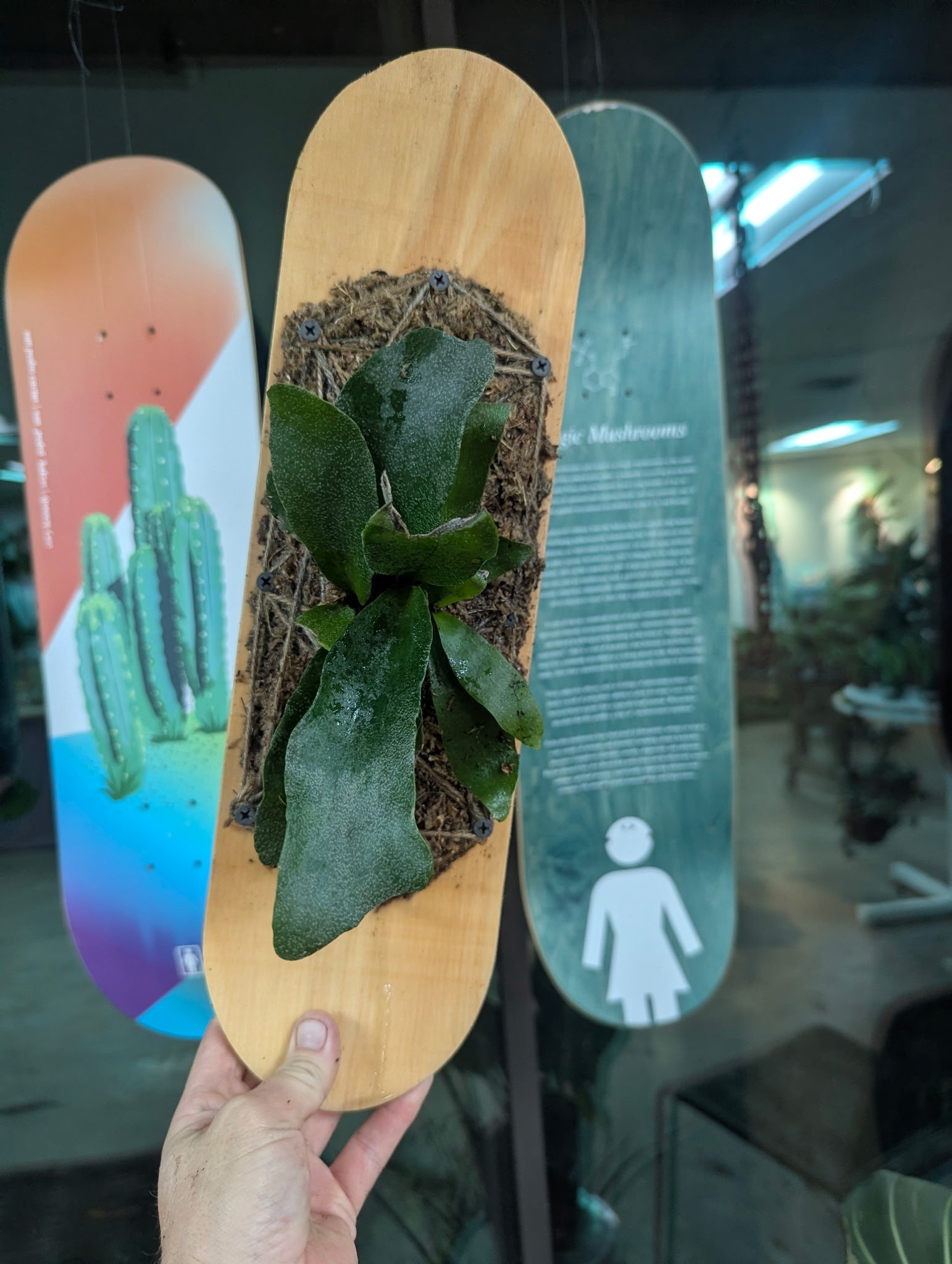 Living Skateboard Planter Workshop