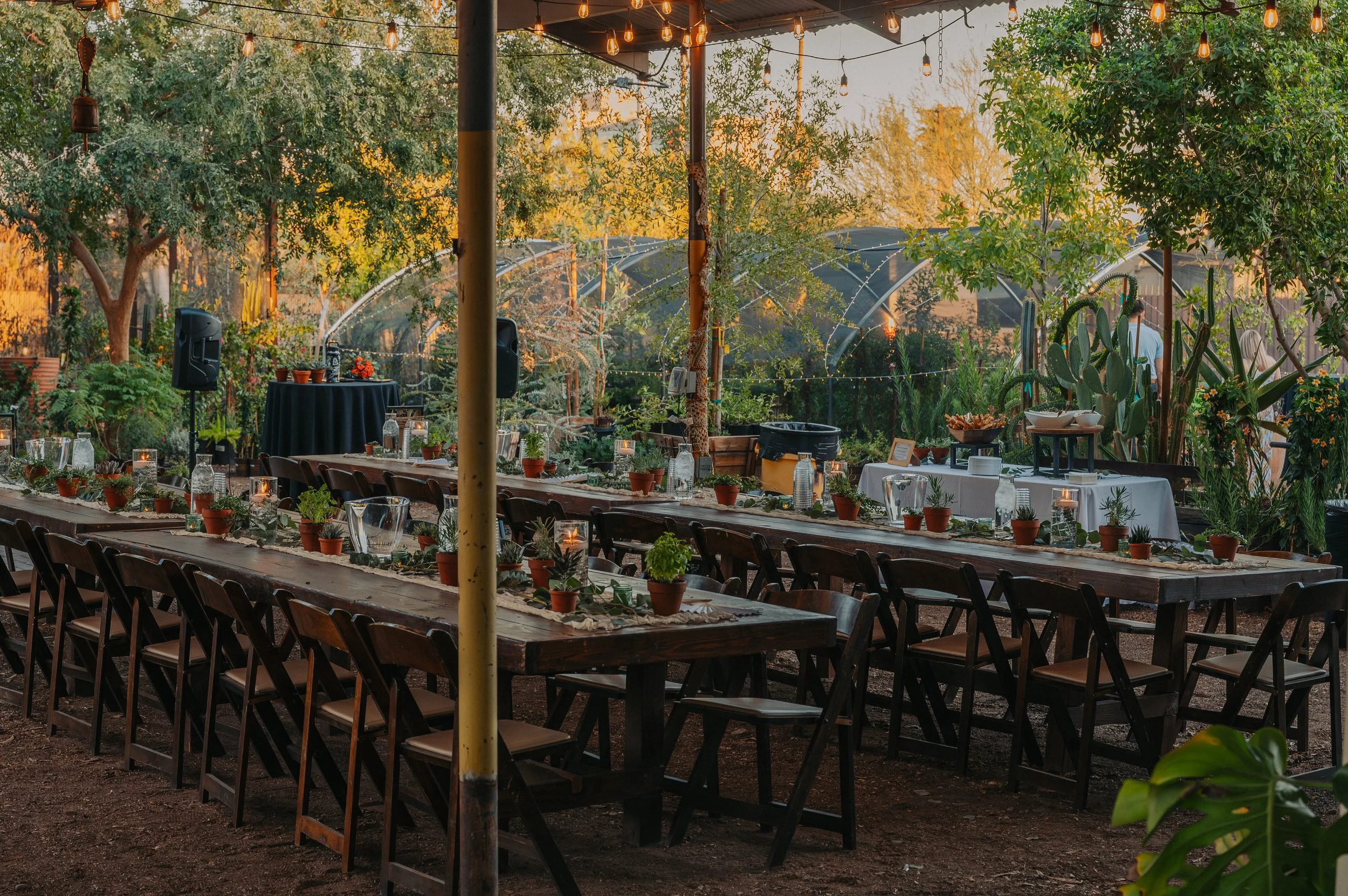 DIGPHX_Wedding (3).jpg
