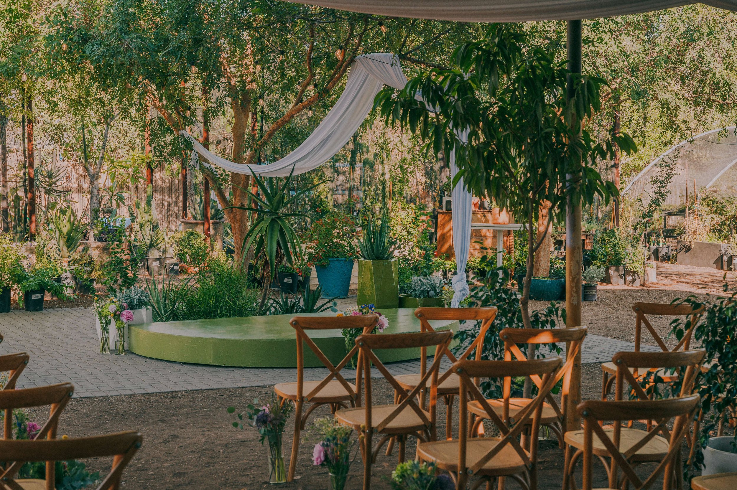 DIGPHX_Wedding.jpg