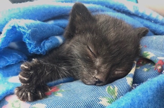 Sleepy Baby <3 