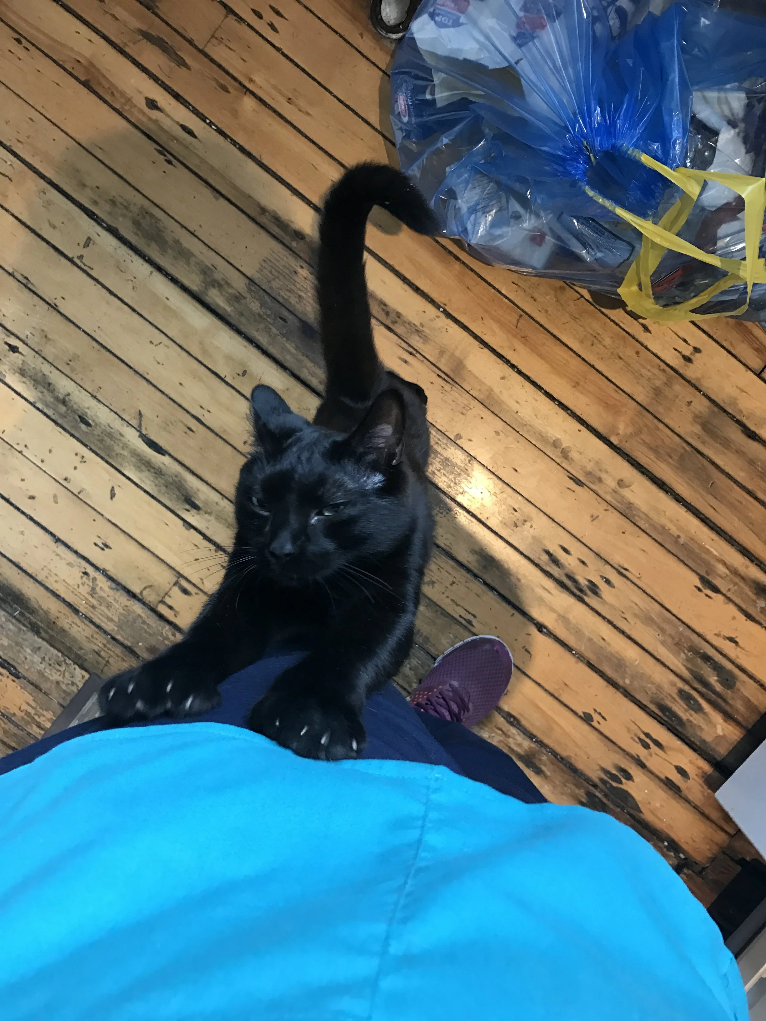 Look how tall I am!
