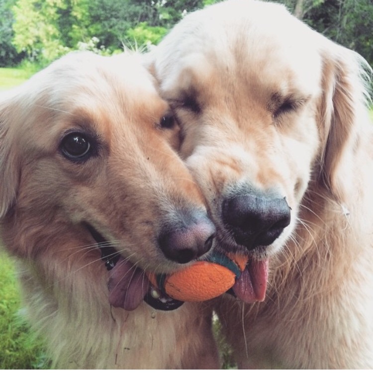 Sharing is caring