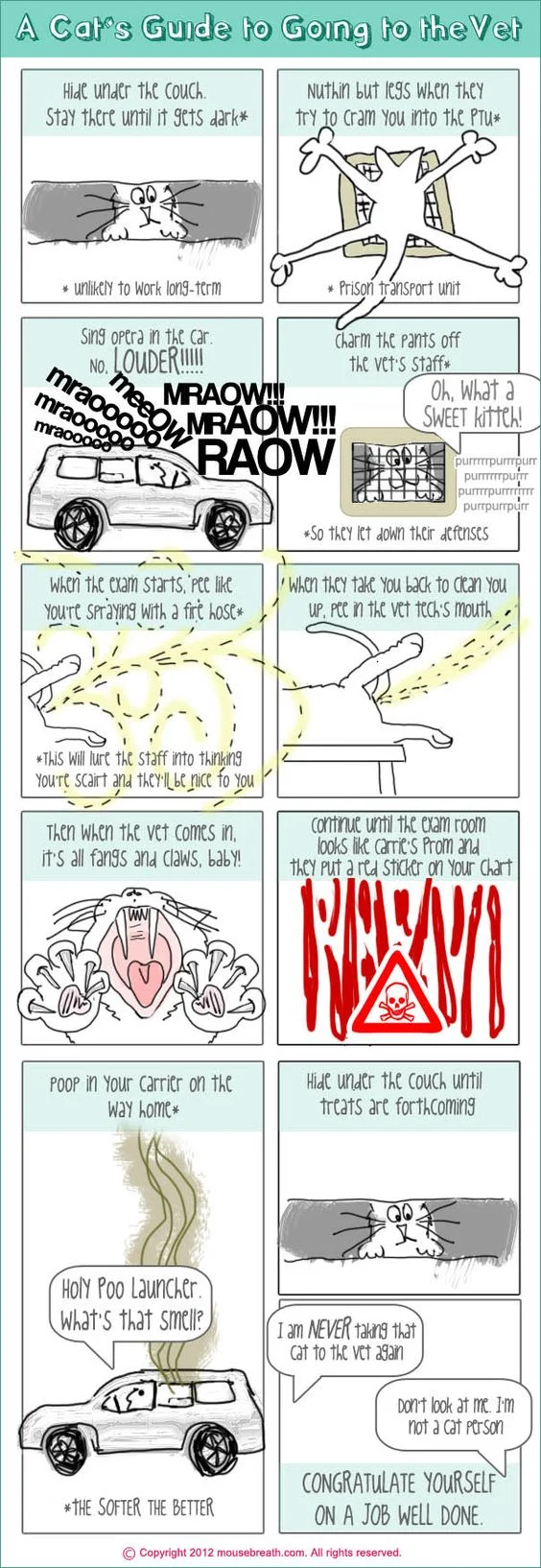 Cats Guide to going to the vet(1).jpg