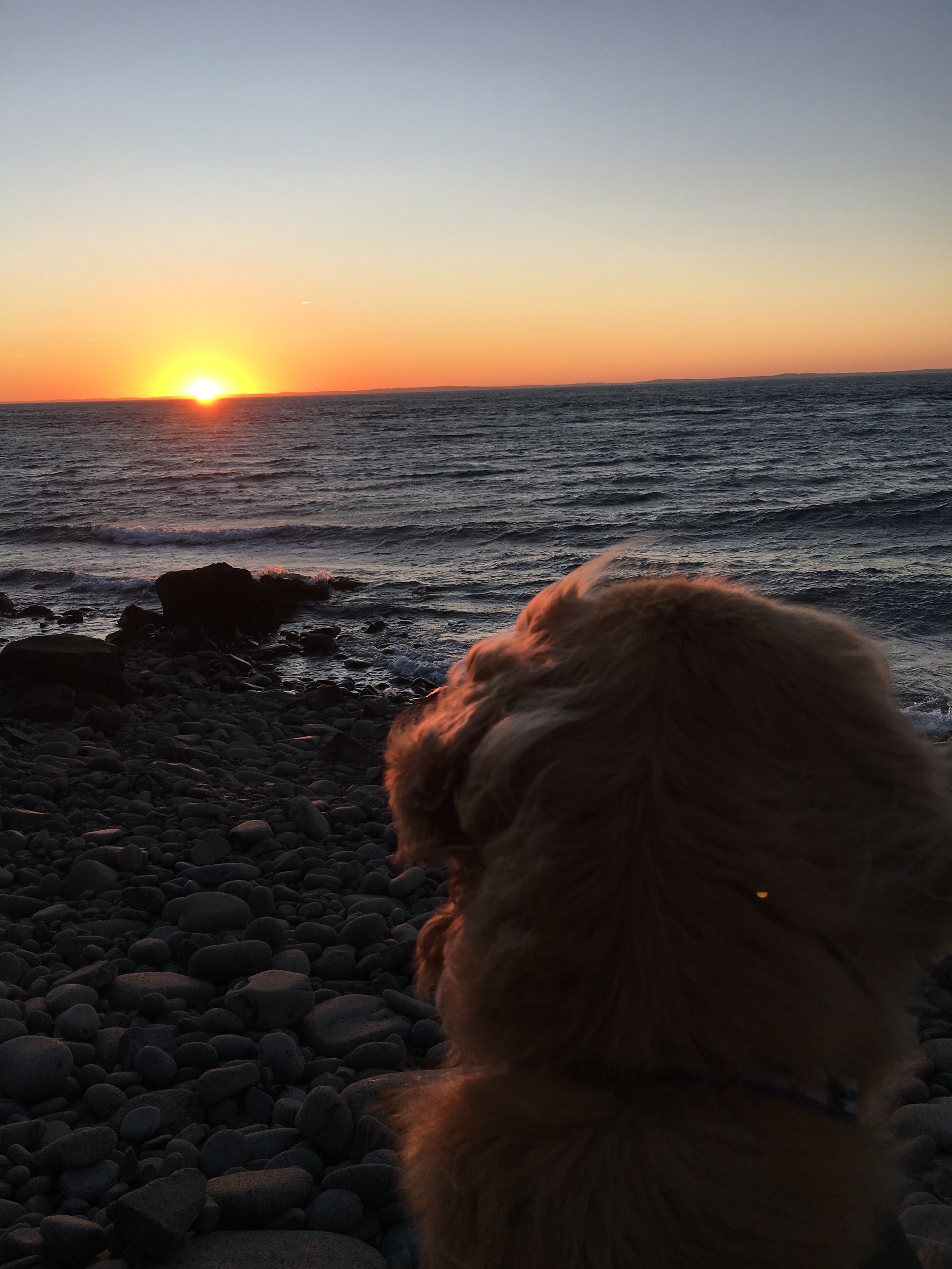 Mary loves herself a good Whistle Road sunset!