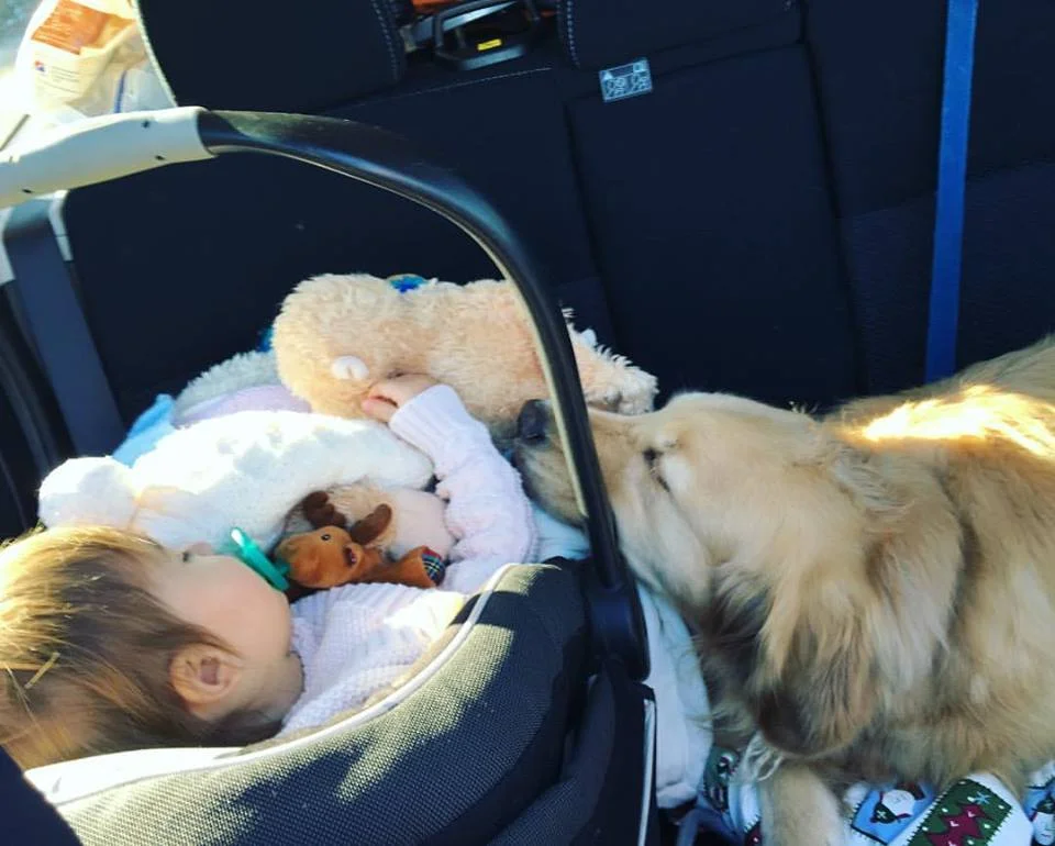 You can take me in the car, just don't leave either of us in there!