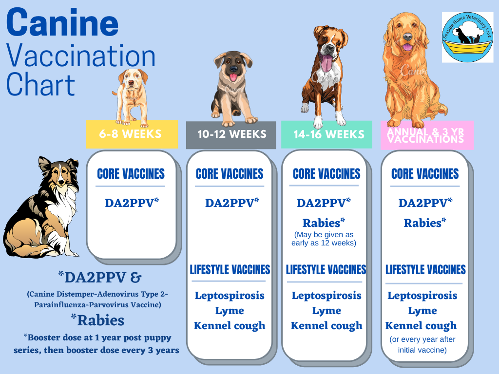 DOG VACCINATION INFORMATION — Seaside Home Veterinary Care