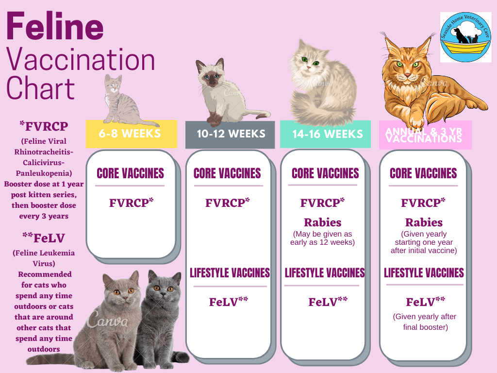 CAT VACCINATION INFORMATION — Seaside Home Veterinary Care