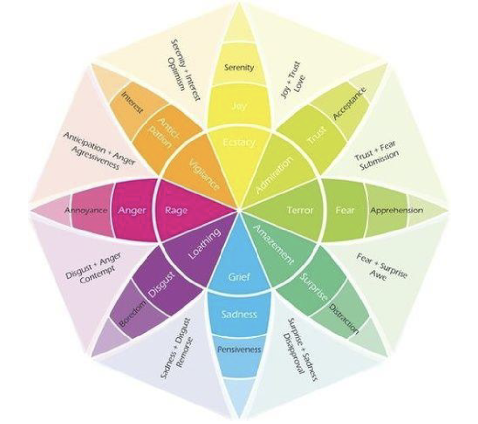 Managing Aggressive Student Behaviors