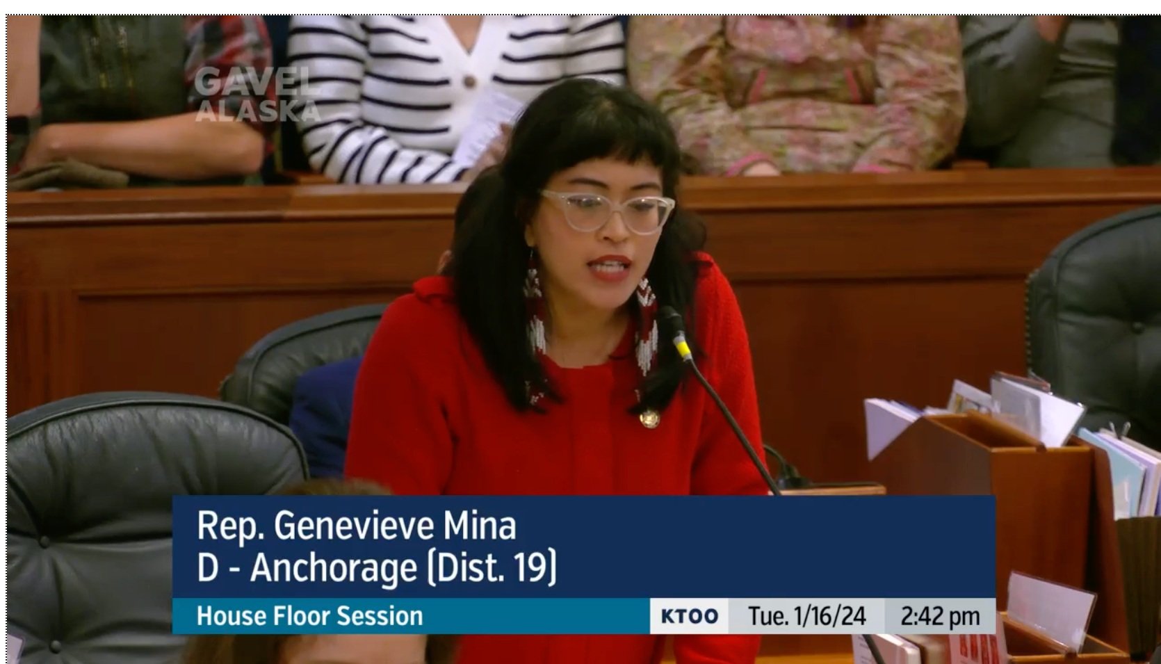 Click to watch Rep. Mina's testimony on Tyson Elementary