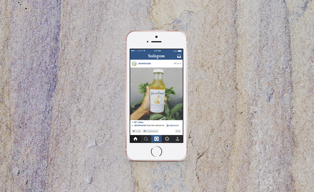 Foxtail Social Media and Branding