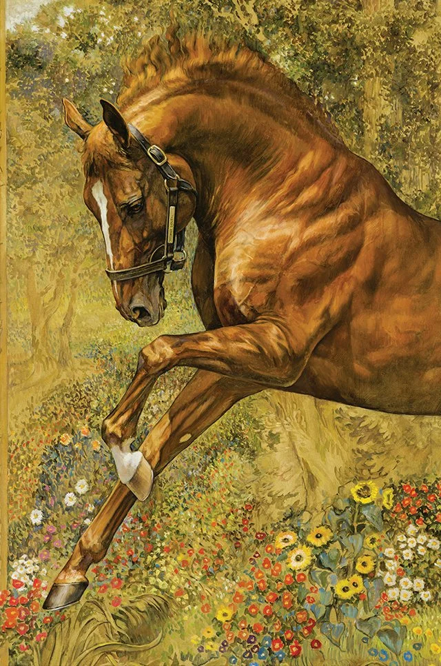 "Roi Soleil" (Summer)
