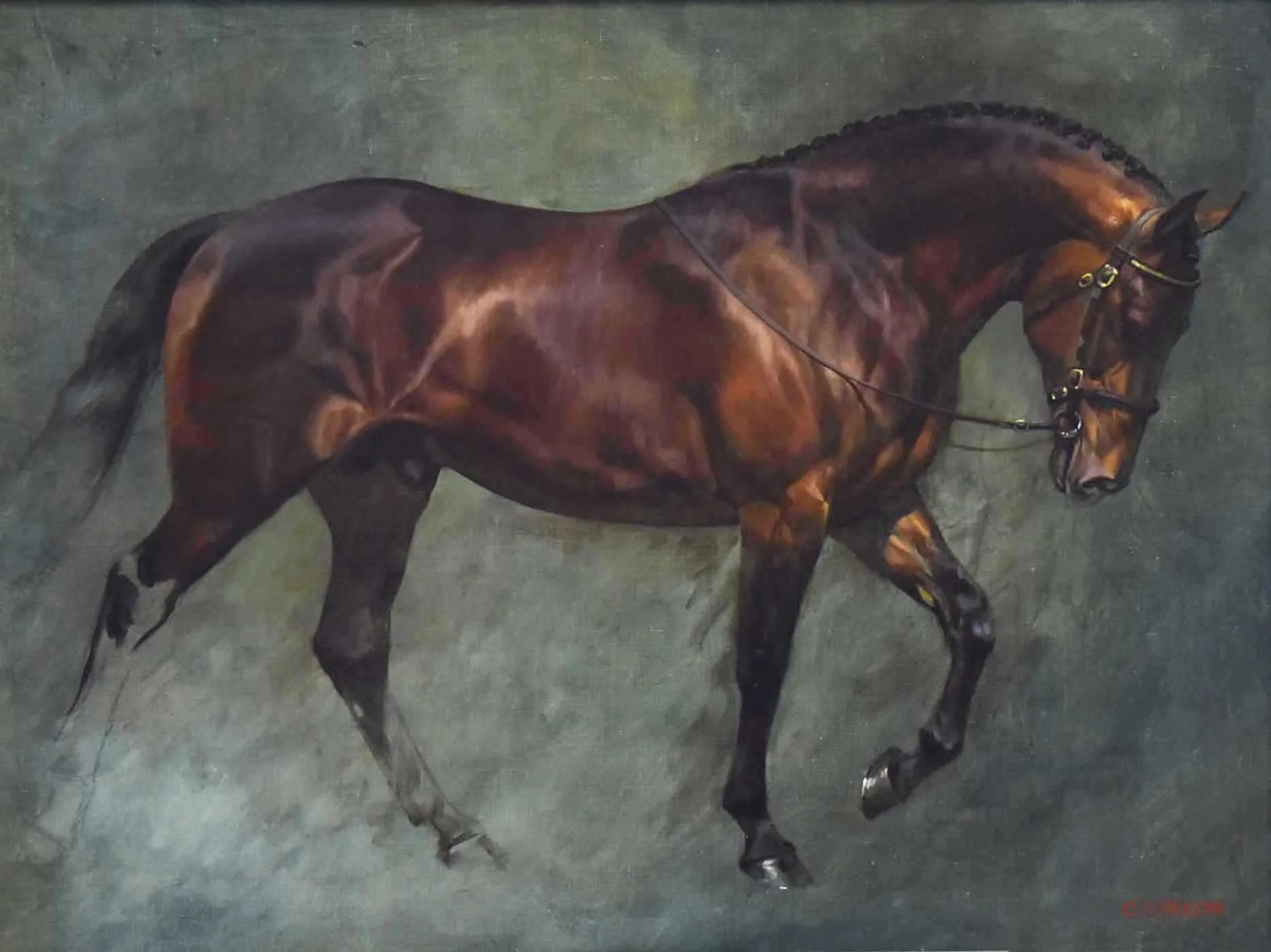 "Study of a Bay Stallion" 