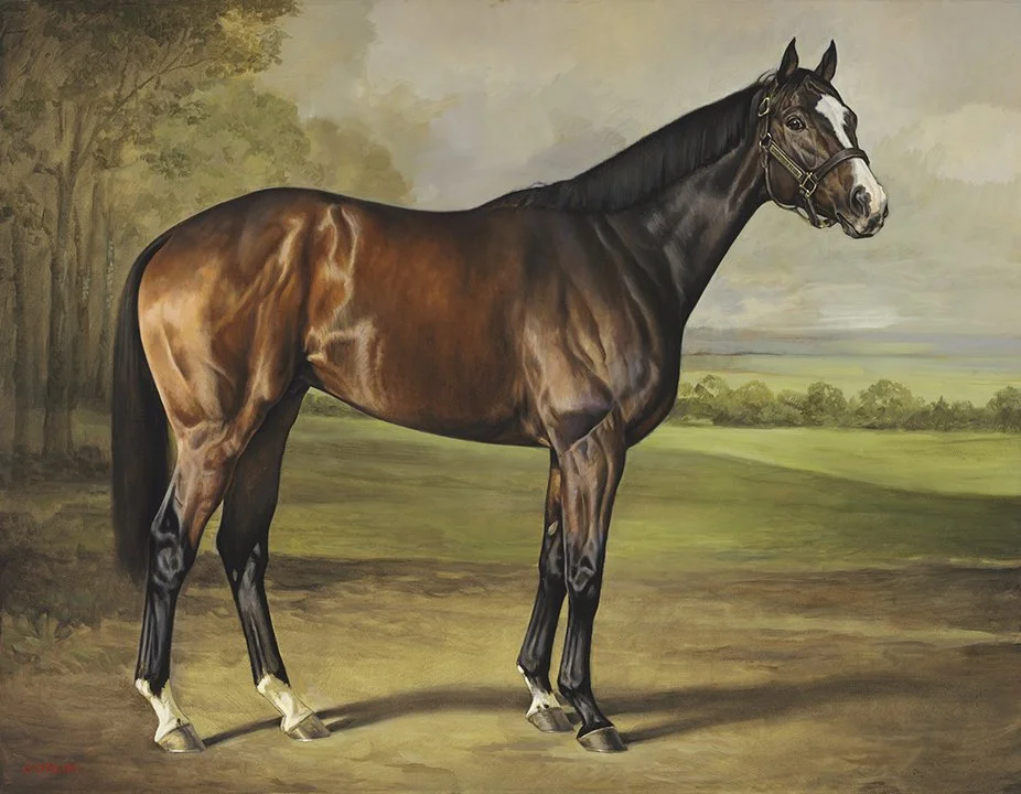 Saratoga Flash