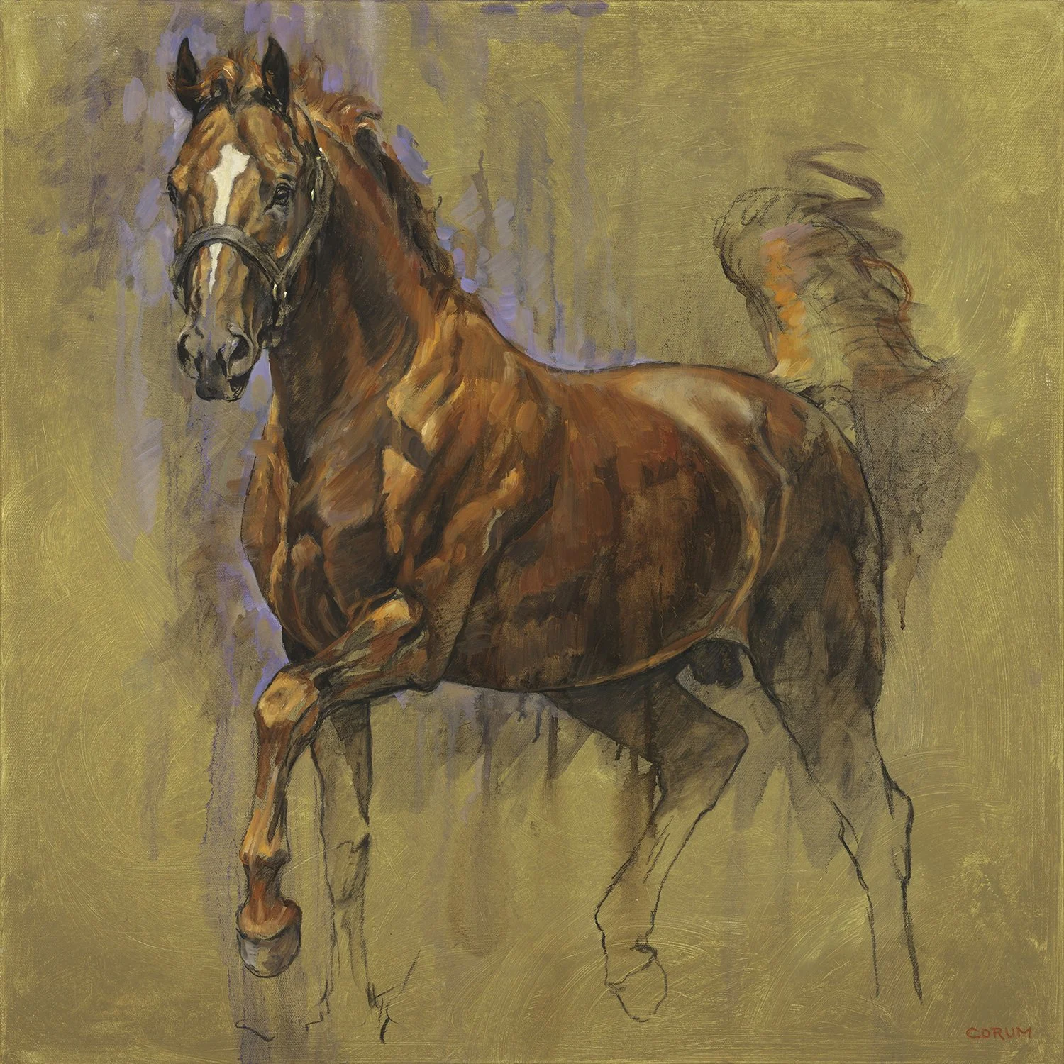 The Mighty Curlin