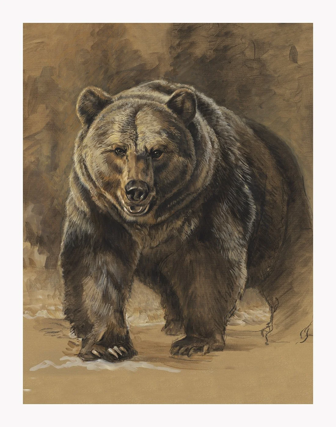 Bear 11x14 paper.jpg