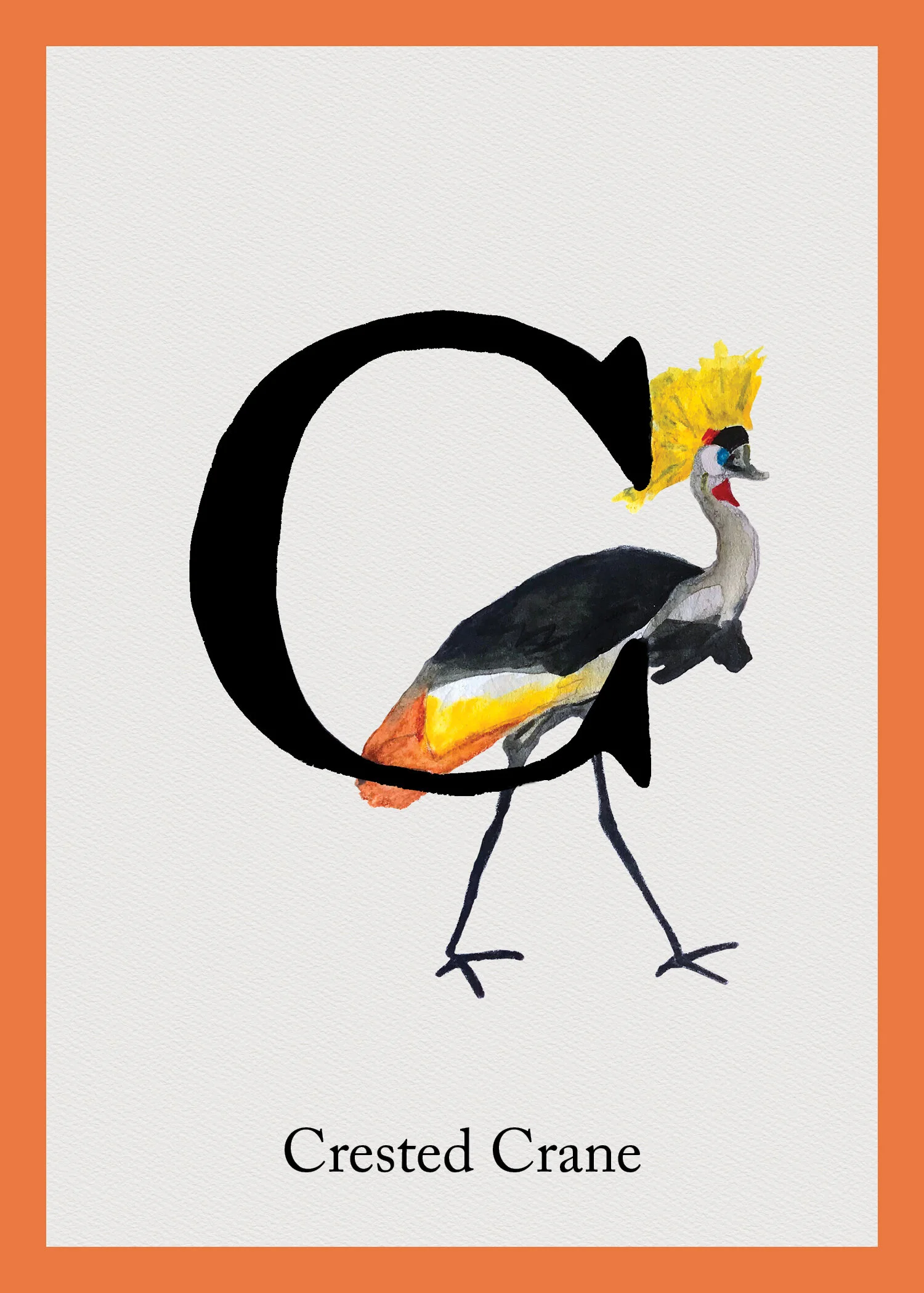 C for Crested Crane.jpg