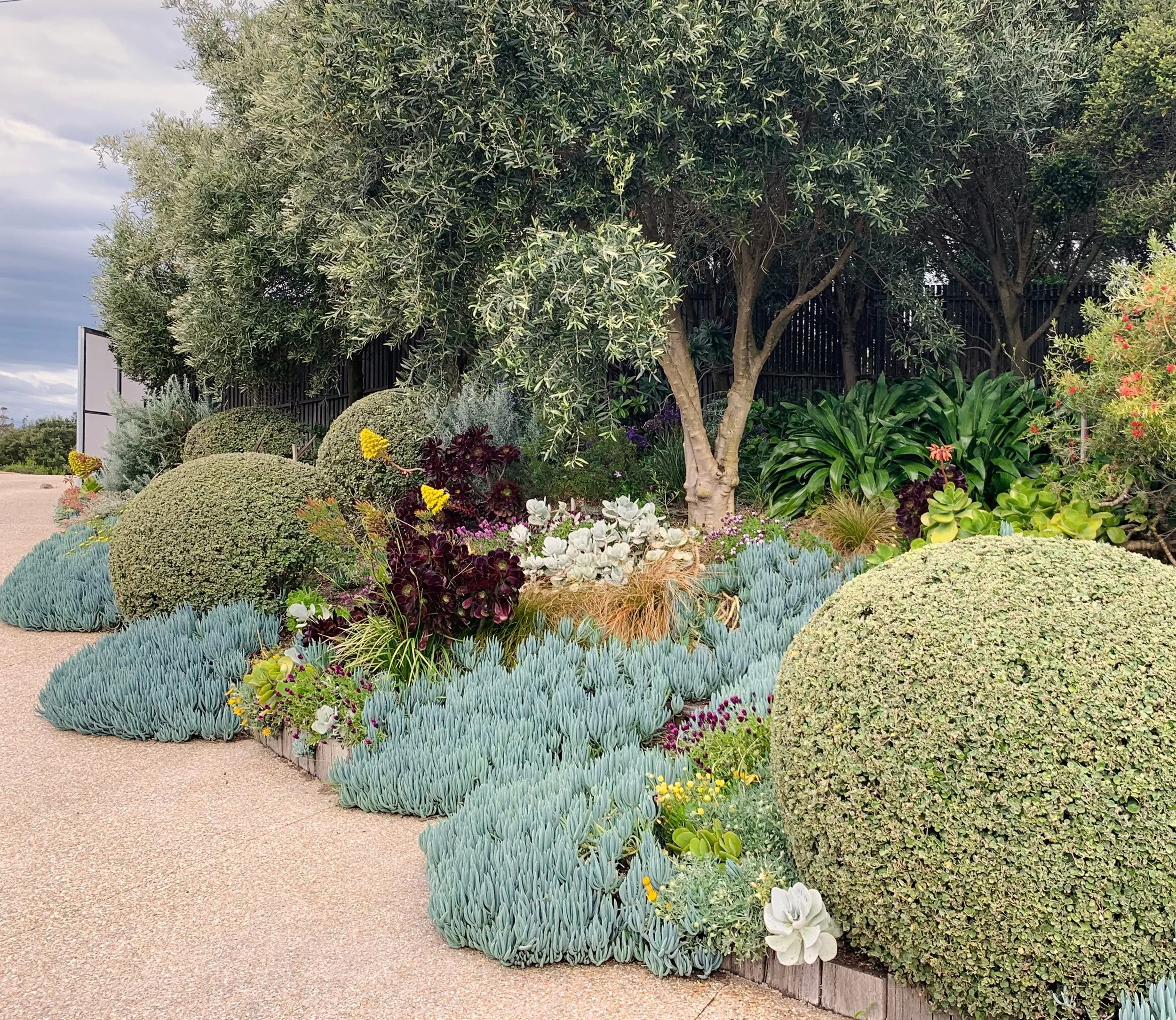Image 8.jpg