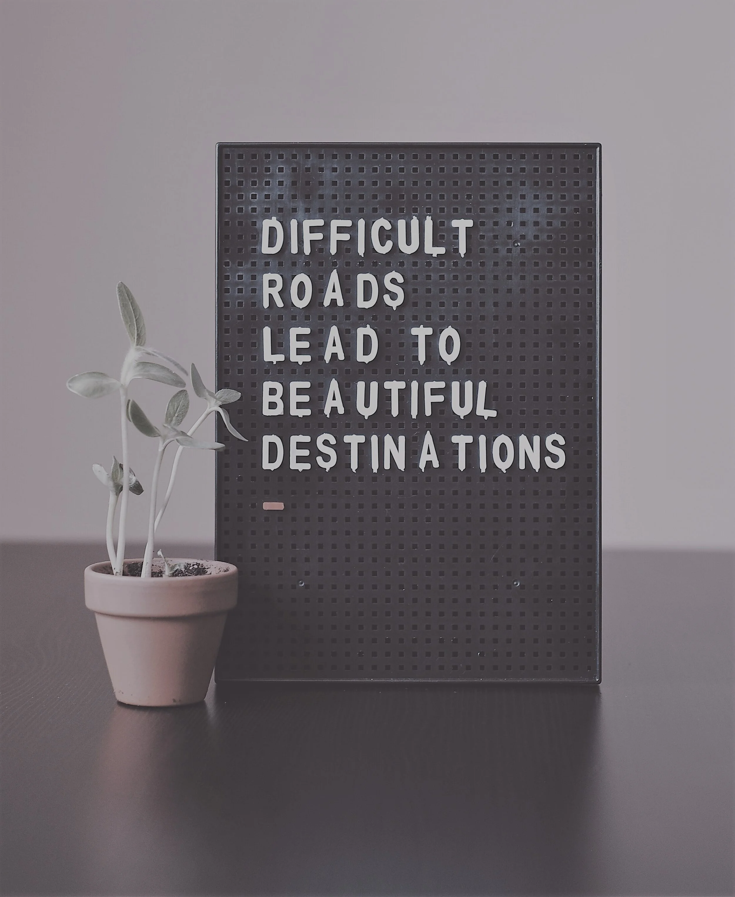 >>>The important distinction between Your Vision and Your Why