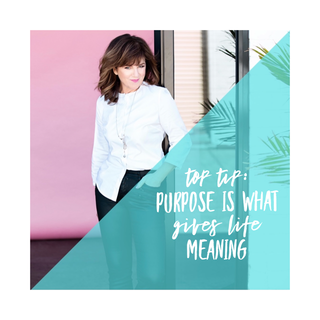 &gt;&gt;&gt;Purpose is what gives life meaning