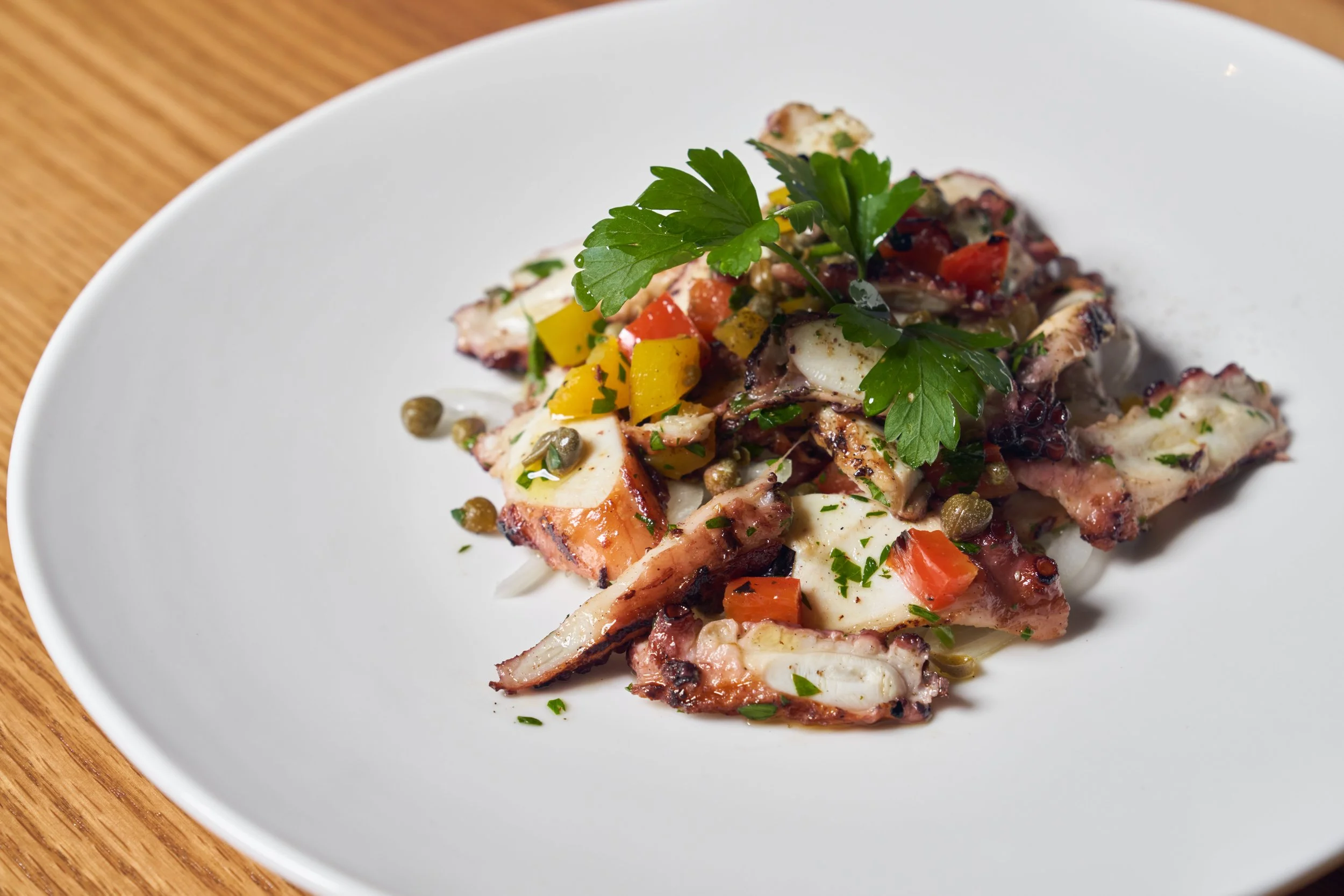 Gilled Octopus