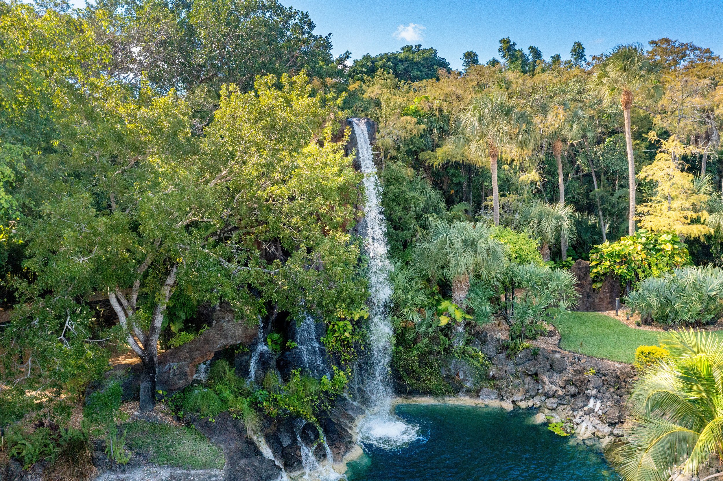 Check Out This Botanical Paradise In Boca Raton Asking $14 Million 217.jpg