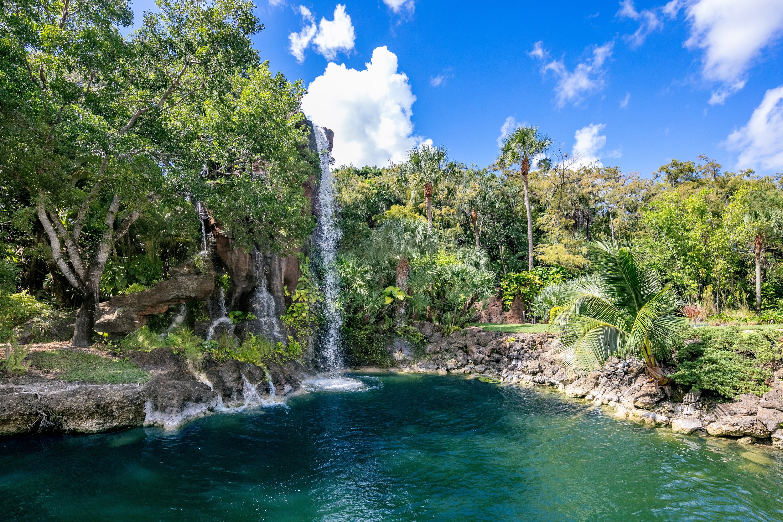 Check Out This Botanical Paradise In Boca Raton Asking $14 Million 323.jpg