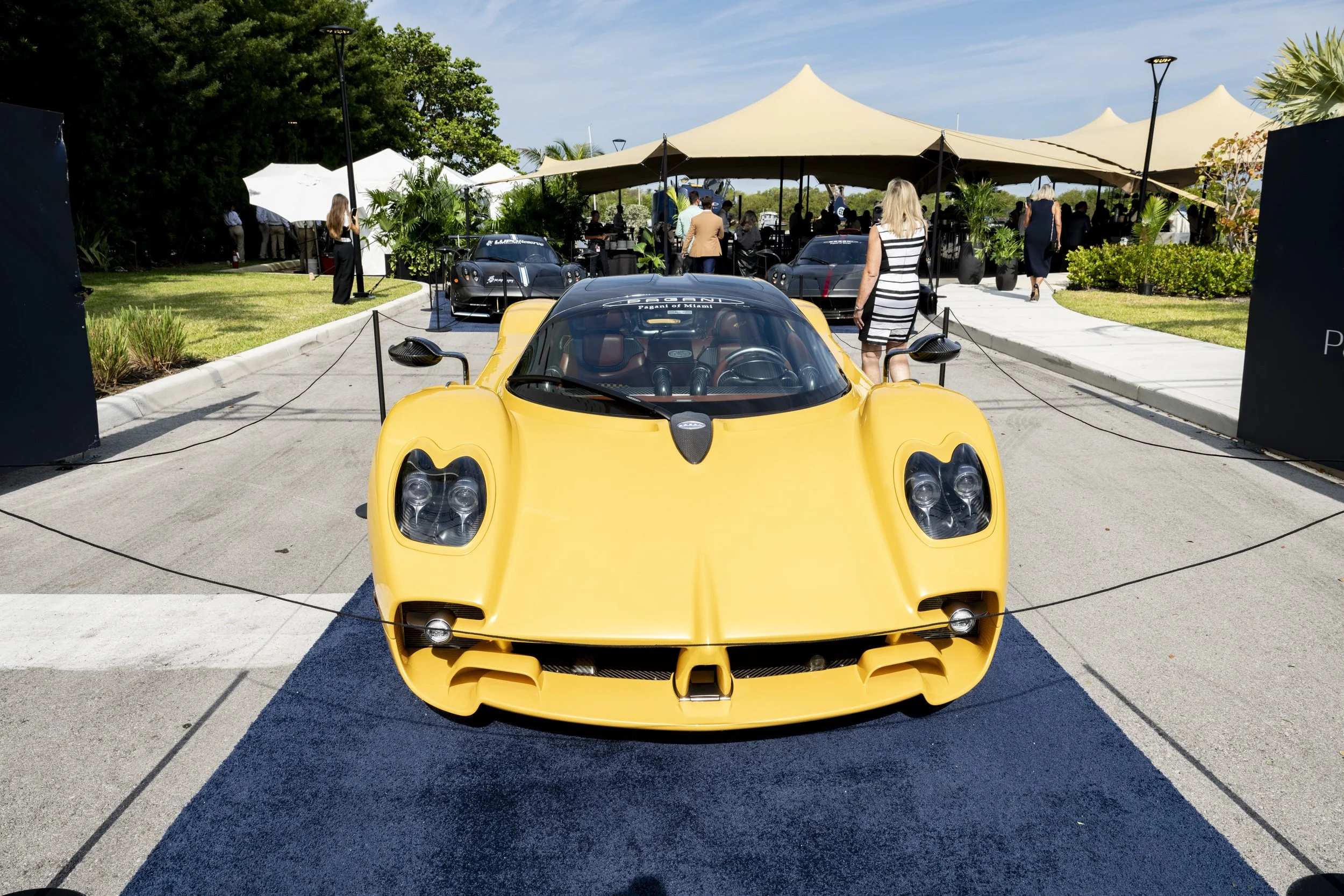 Pagani Huayra (2).jpg