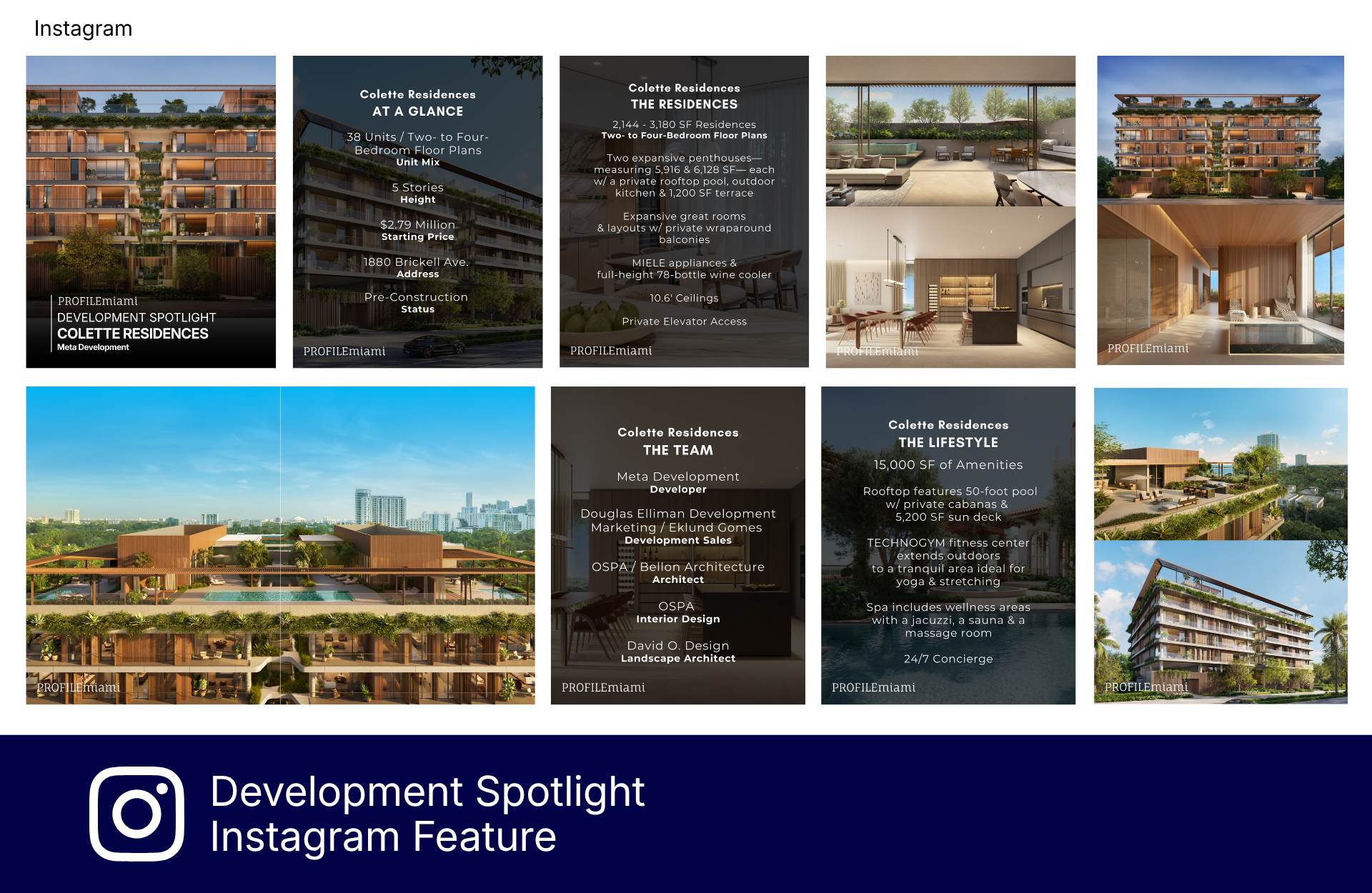 PROFILE Development Spotlight 1.png