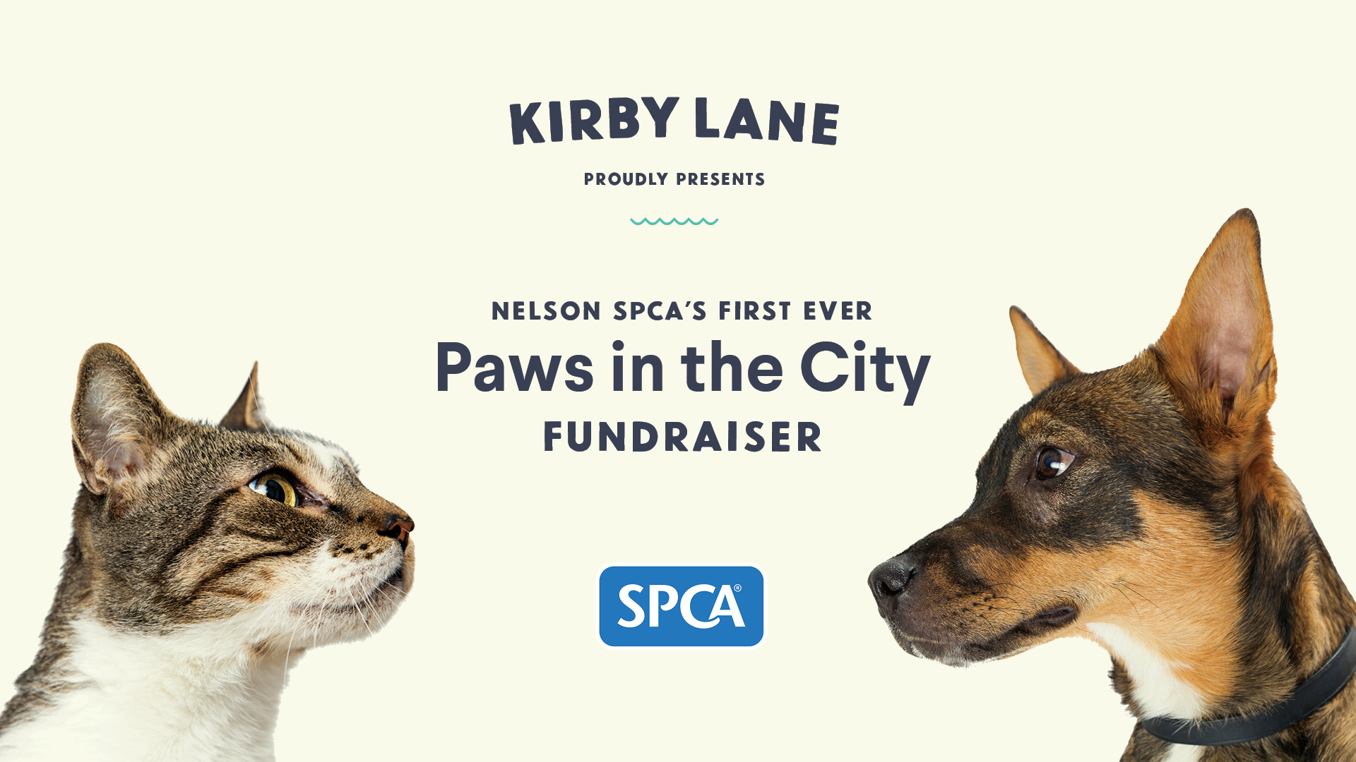 SPCA Paws in the City fundraiser