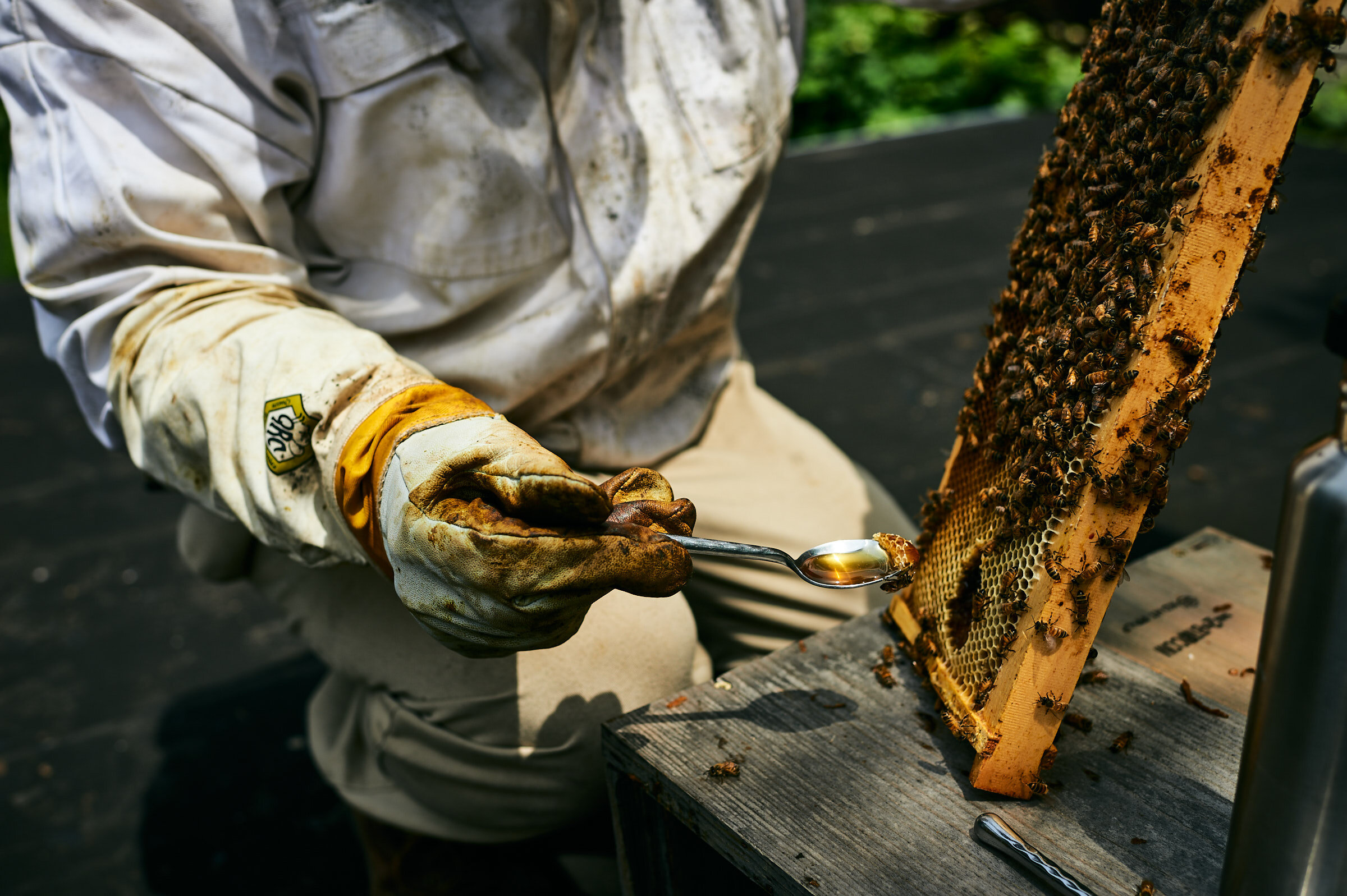 Cleveland_Brand_Narrative_Photographer_BeeKeeper 5.jpg