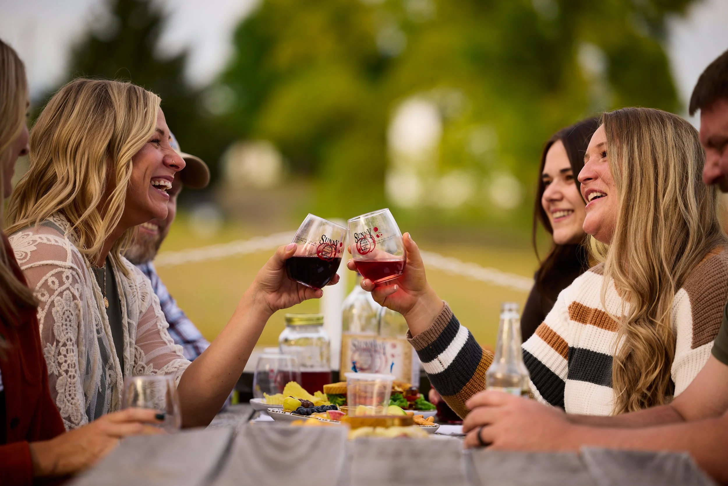 Group of friends smiling and clinking glasses of red wine at an outdoor picnic table with food and drinks in a park.