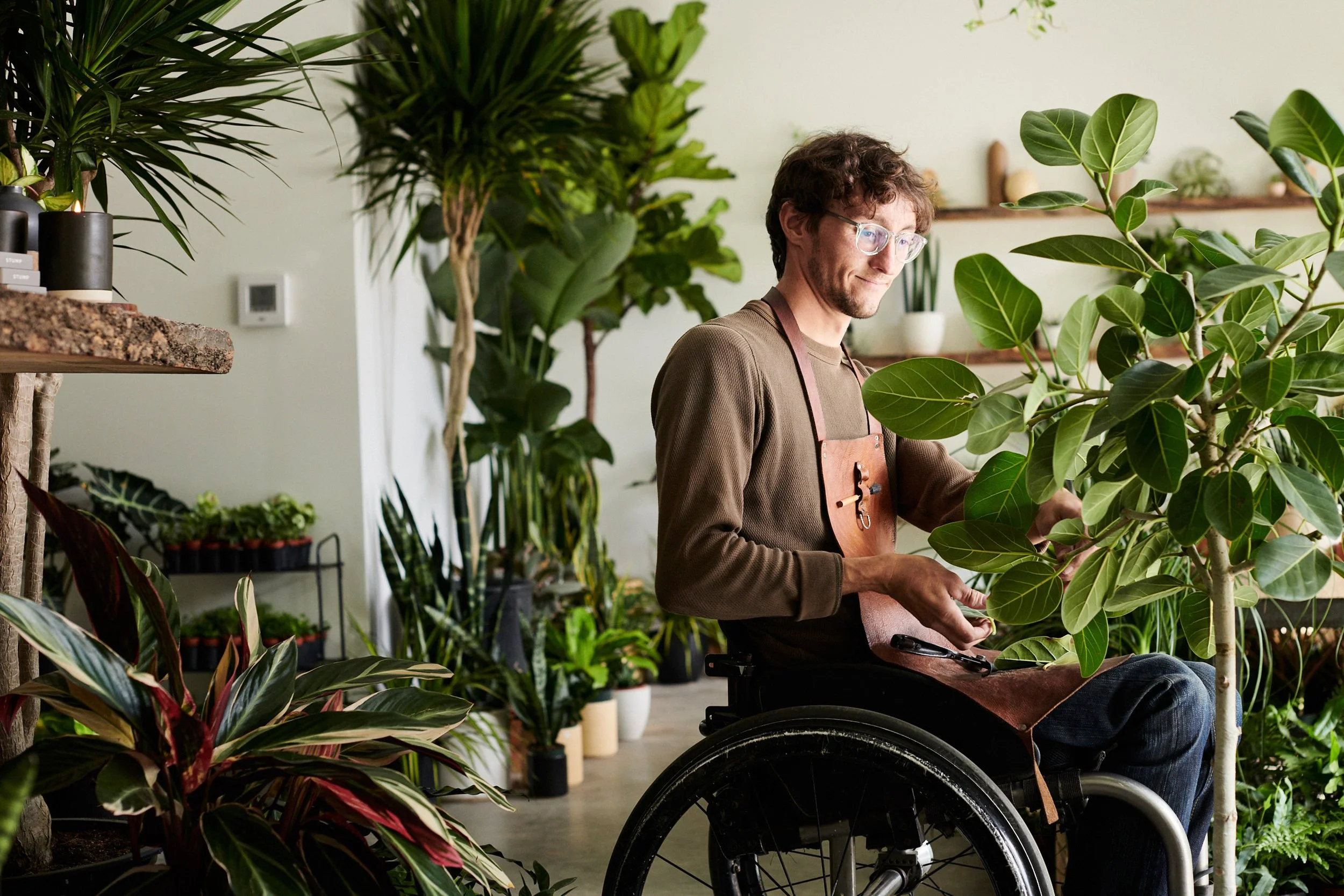 Man in wheelchair tending to a large leafy plant inside a lush plant shop or greenhouse.