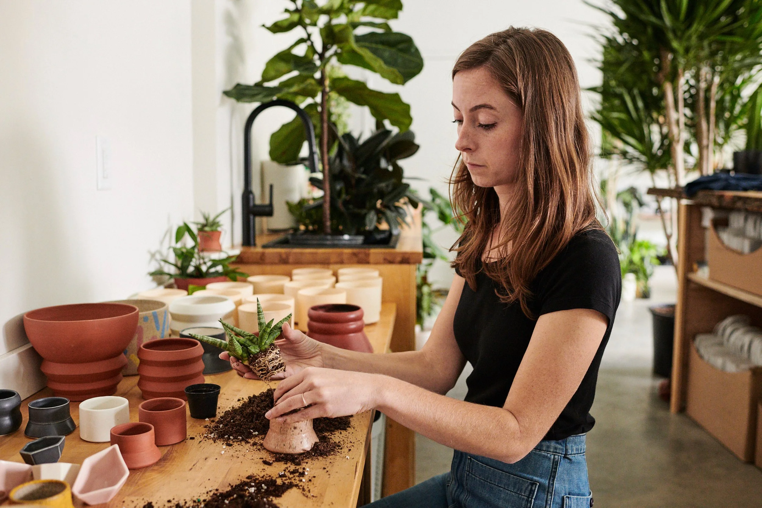 A woman planting a succulent in a ceramic pot at a workspace surrounded by various pots and plants.