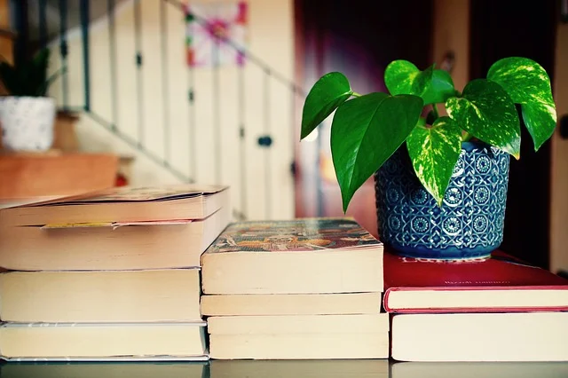 books-2826380_640.jpg