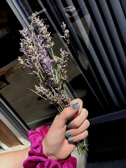 lavender.jpg