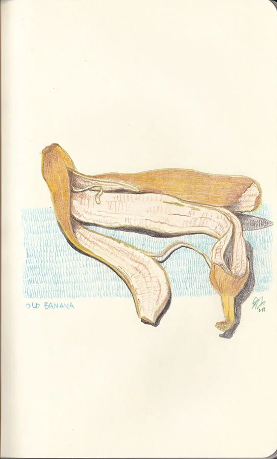 sketchaday_011.jpg