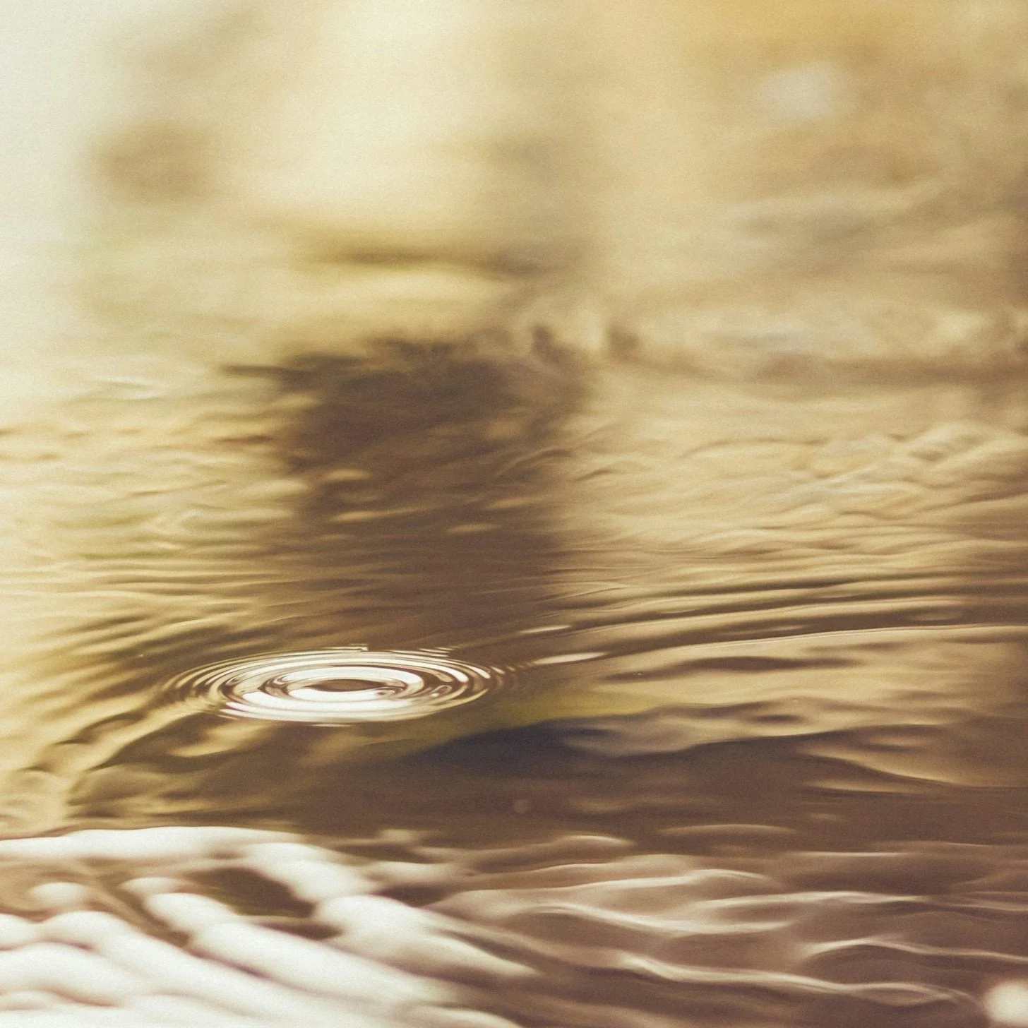 The Ring Theory | Comfort In. Dump Out.