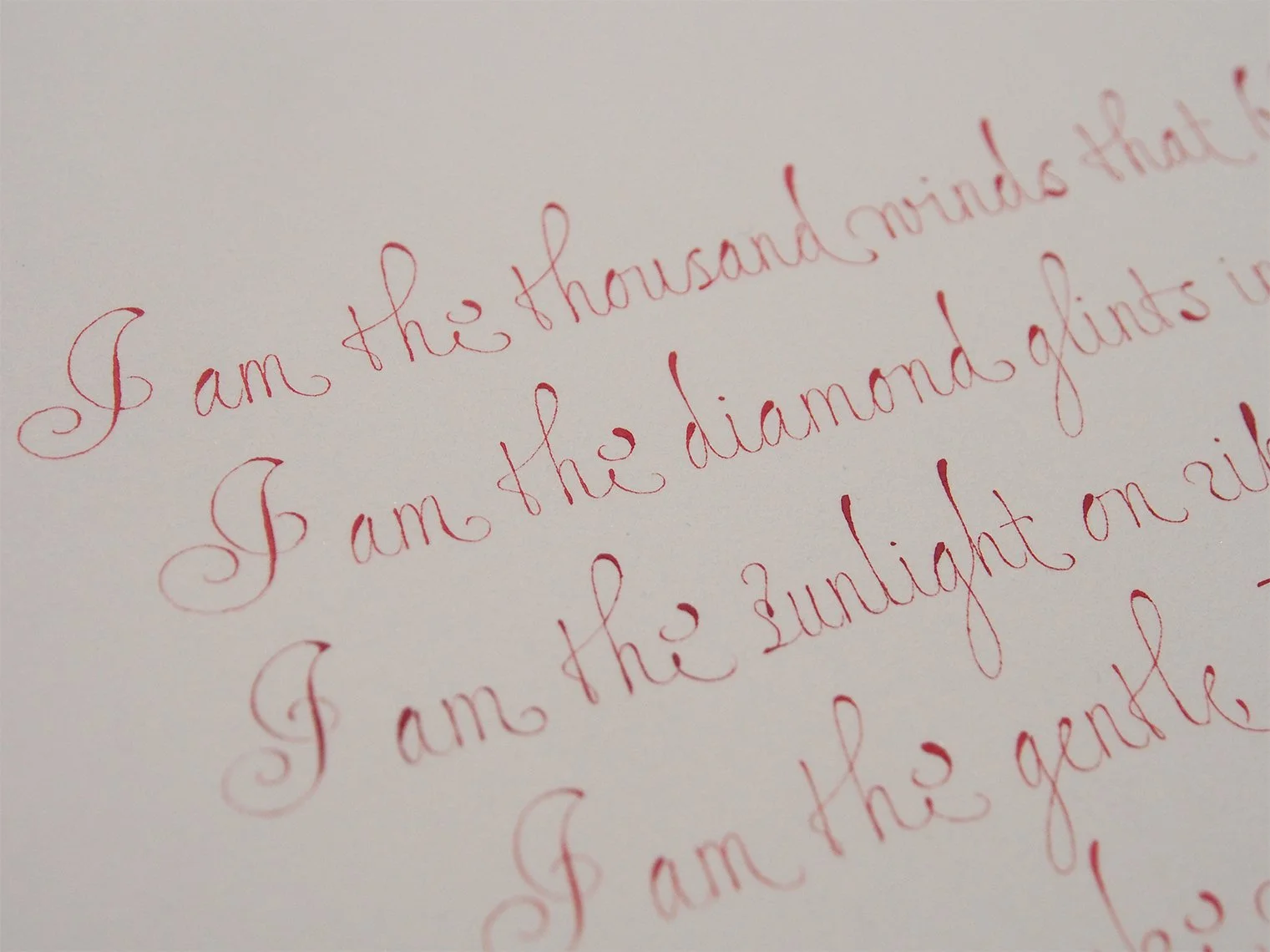 HOOK_Clare Harner_Remembrance_2024-09-26_P1010003_WEB.JPG