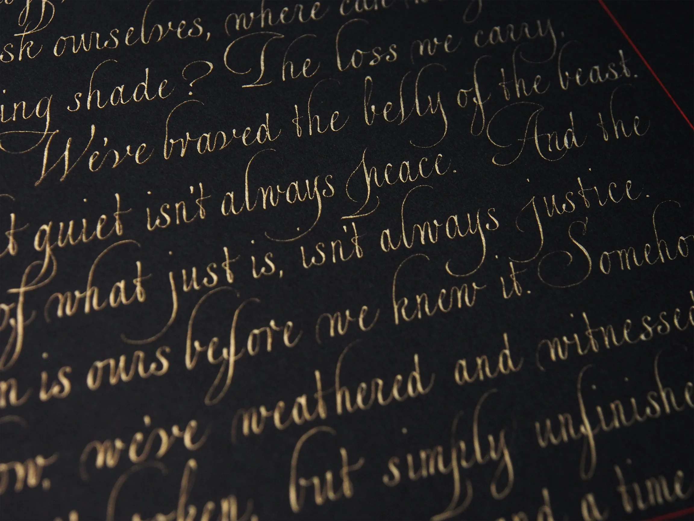 HOOK_Amanda Gorman_The Hill We Climb_Detail 01.JPG