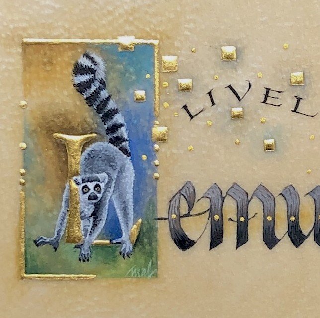 lively_lemur.jpg