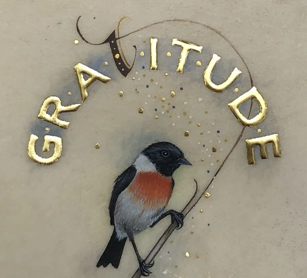 gratitude_stonechat.jpeg