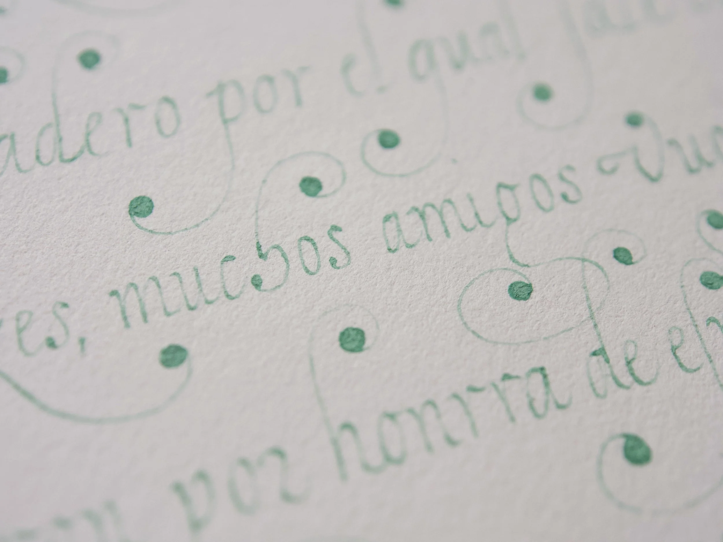 HOOK_17th c manuscript copy_2025-04-28_P1010001_WEB.JPEG