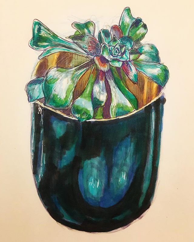&ldquo;Plant&rdquo; 🌱 markers and pens #art #instaart #markers #drawing #stilllife #artist #instaartist #sketchbook