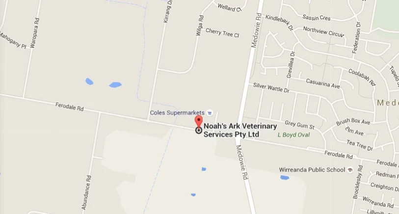 website map.jpg